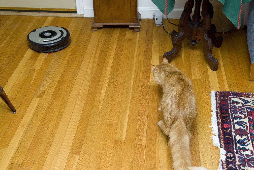 Best Vacuums for Pet Hair: What Pet Owners Should Look For Before Buying