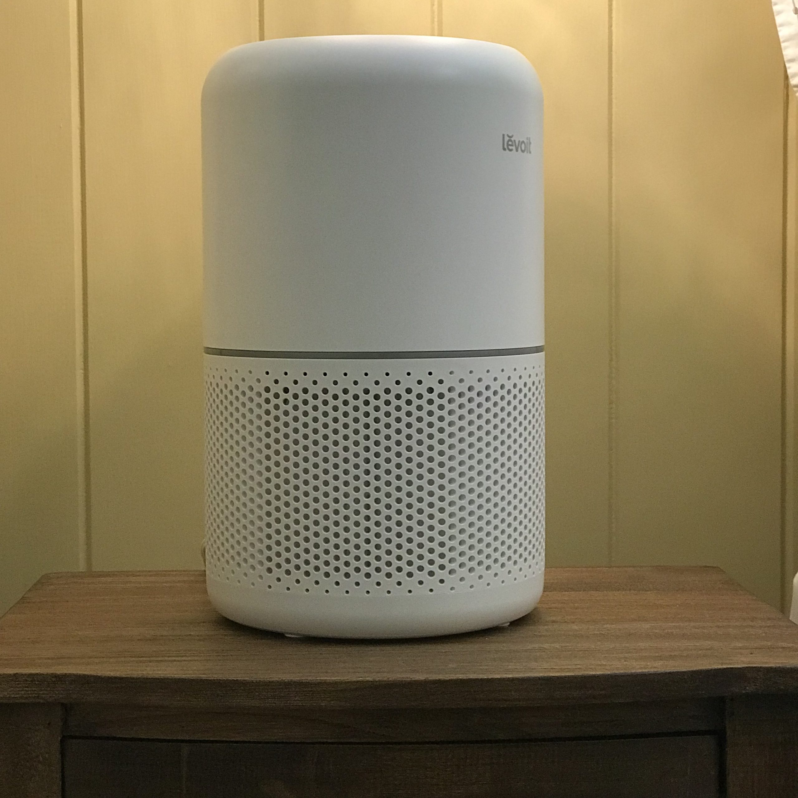 Air purifier for pet dander rooms for SavingCat readers