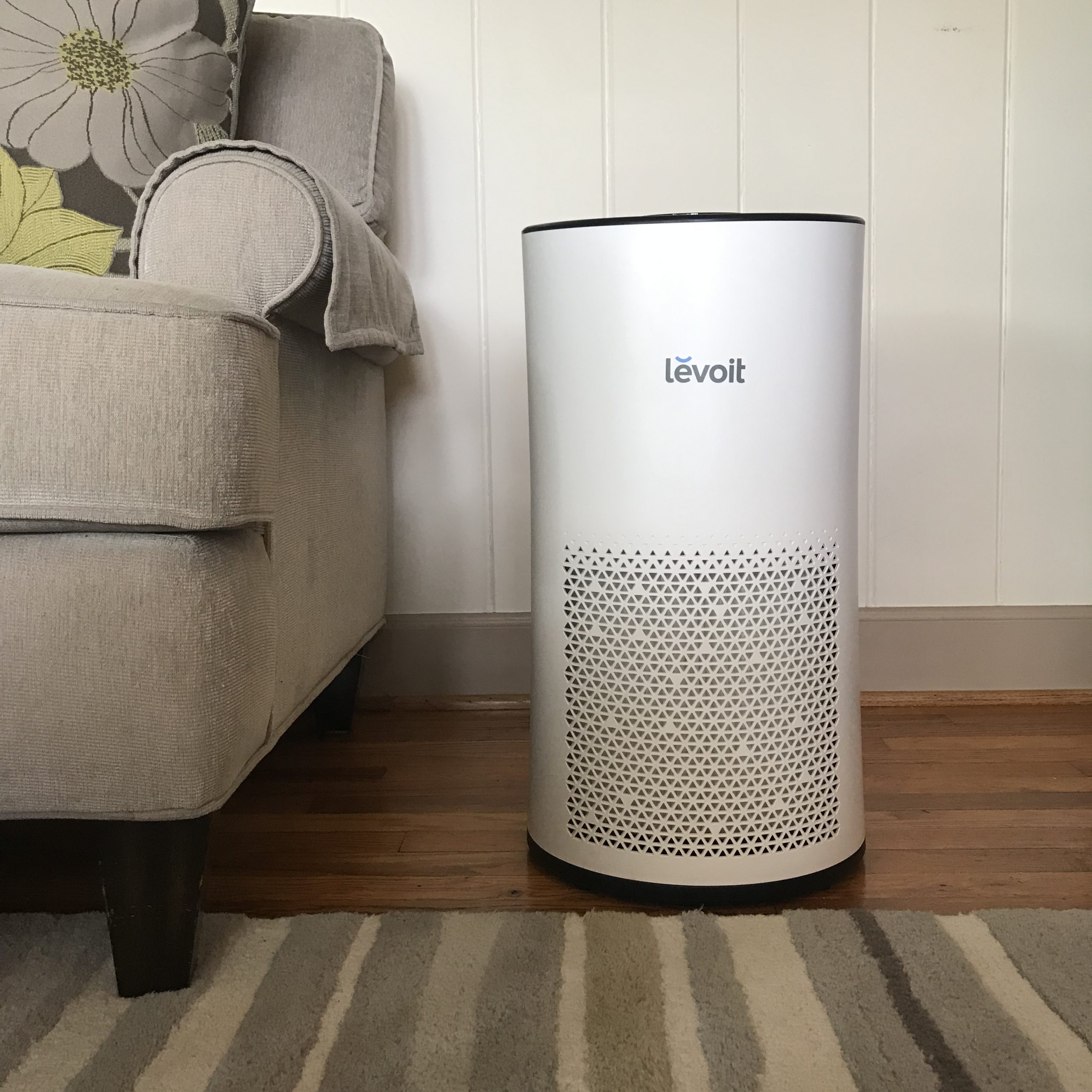 Room air purifier for pet-friendly homes for SavingCat readers