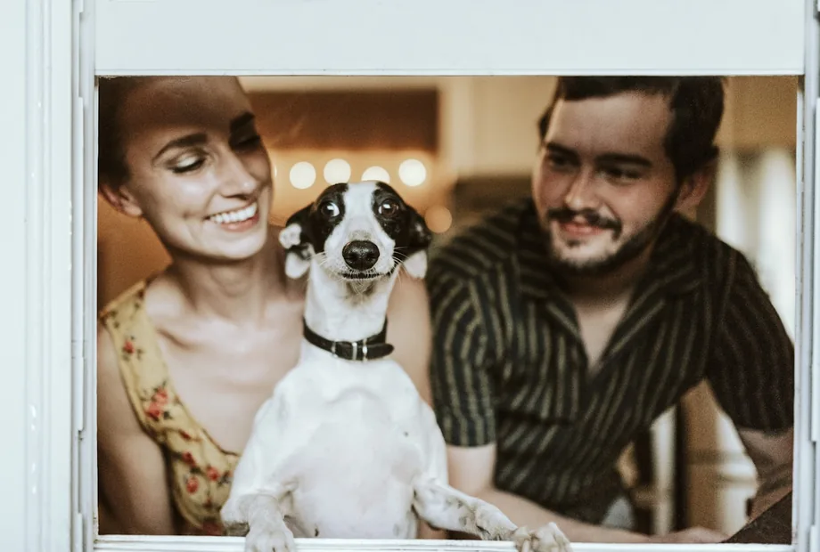 Dog at home with owners for a guide to slow feeder bowls and food puzzle toys